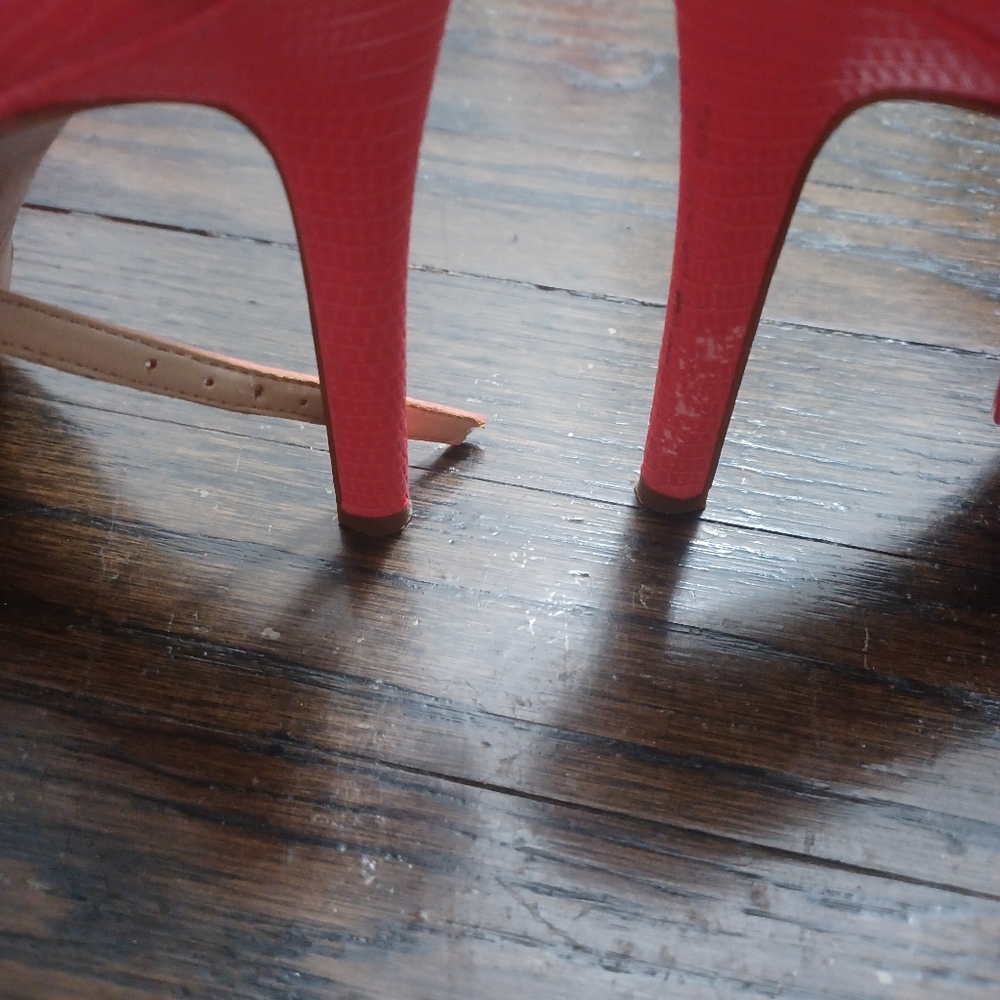 Shies - Picture 2 of 4
